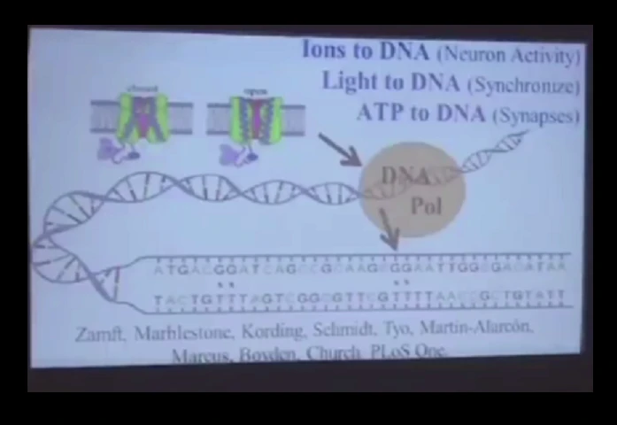 (extrait) le projet BRAIN I/O – George Church (2015)