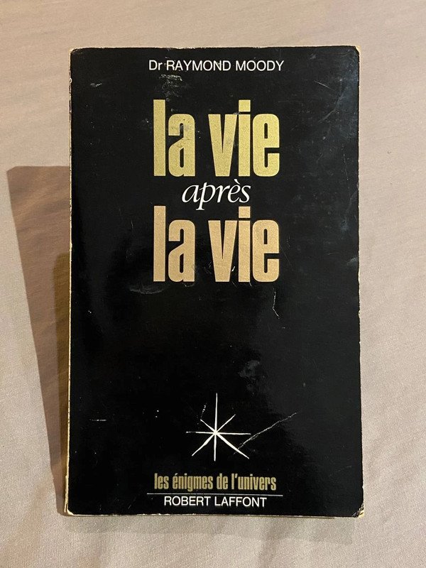 La vie après la vie