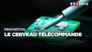 Innovation : le cerveau télécommande